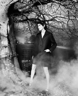 Stella Tennant - T Magazine - Solve Sundsbo