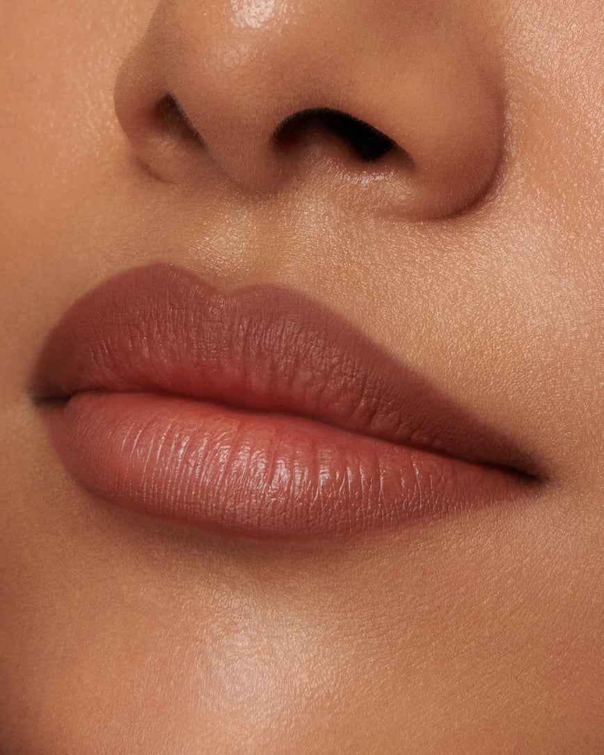 Shade 1N (Sculpt and Shade Lip Pencil)