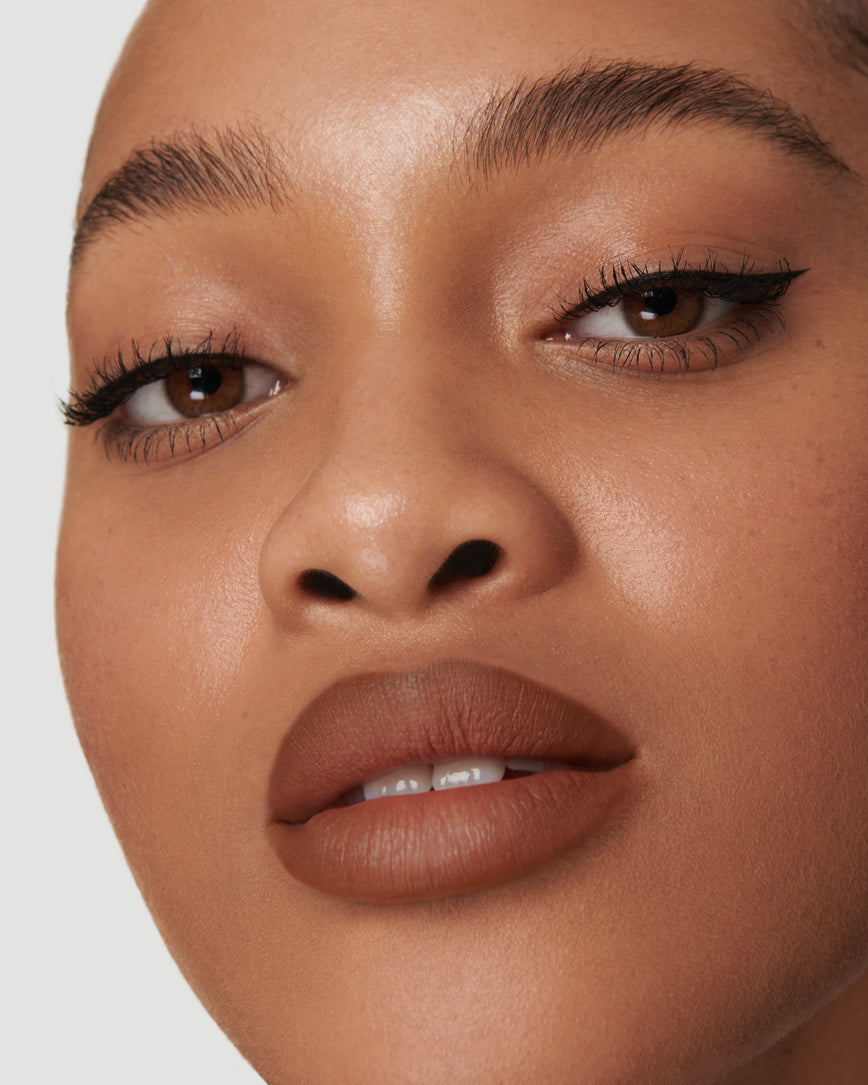 Shade 2N (Sculpt and Shade Lip Pencil)