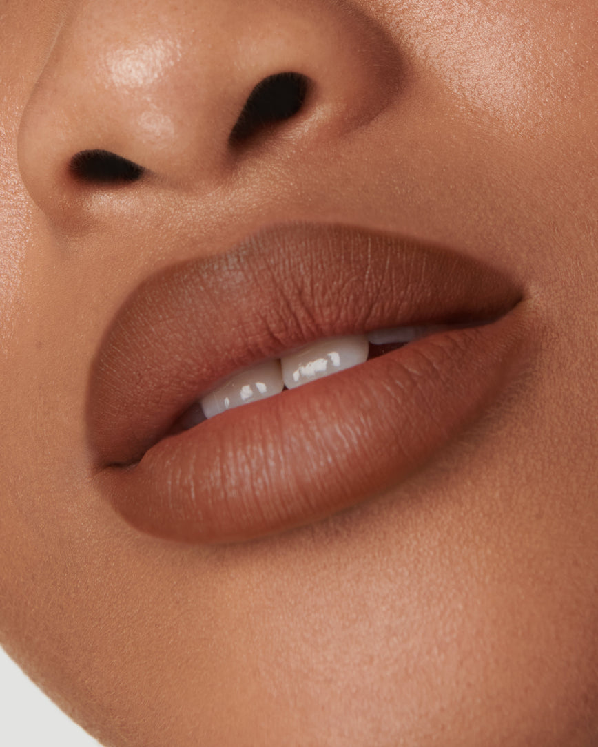 Shade 2N (Sculpt and Shade Lip Pencil)