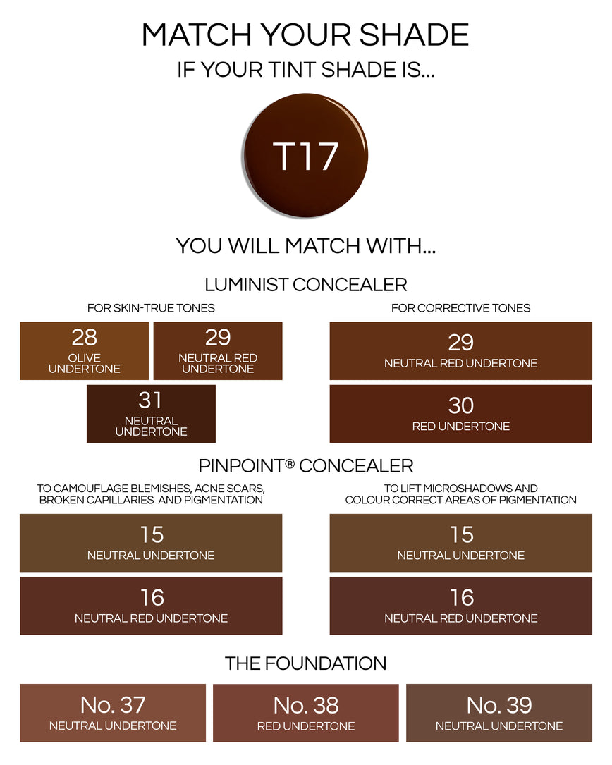 T17 (Seamless Skin Enhancing Tint)